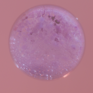 Pink, bubbly liquid in a cup.